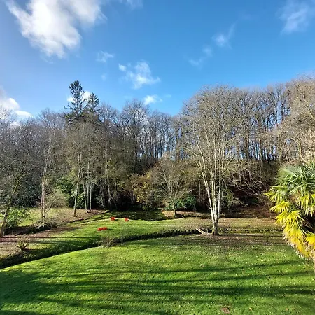 Domaine Du Val Sauvage Bed and Breakfast Langeais Kamer foto