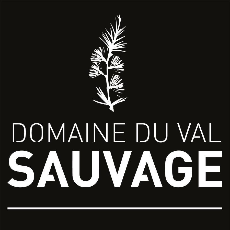 Domaine Du Val Sauvage Bed & Breakfast Langeais