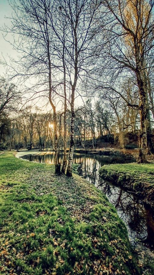Domaine Du Val Sauvage Bed & Breakfast *